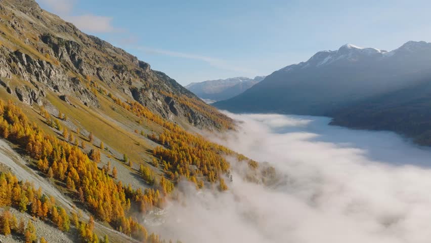 Aerial drone view of a foggy mountain valley with autumn forest at sunrise. Low mist over trees under a clear blue sky.