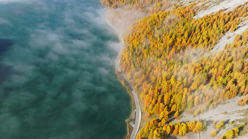 Aerial drone view of a winding road along a lake shore and colorful autumn forest on a foggy morning. Misty natural landscape.