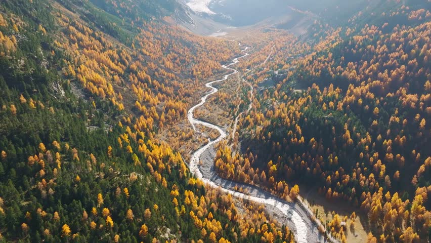 Aerial drone view of a mountain valley with a flowing river and colorful autumn forest. View of the valley without mountain peaks.