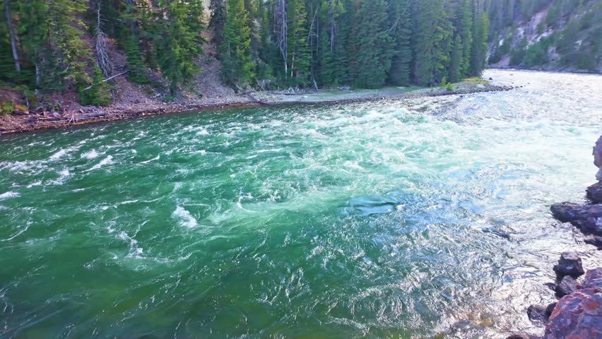 A close view captures the powerful Lower Falls plunging into the Grand Canyon of the Yellowstone