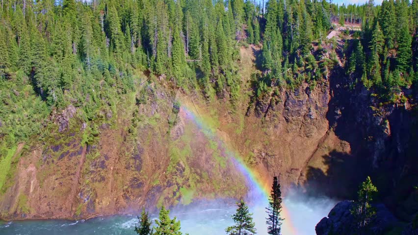 The Yellowstone River rushes through the forested Grand Canyon of the Yellowstone in Yellowstone National Park