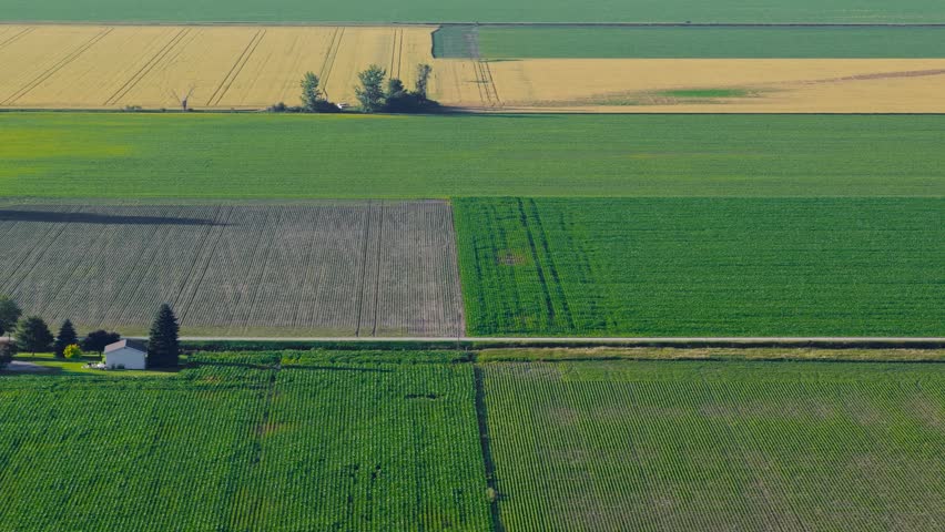 Drone view of green and golden farm fields with a farmhouse in the American Midwest countryside