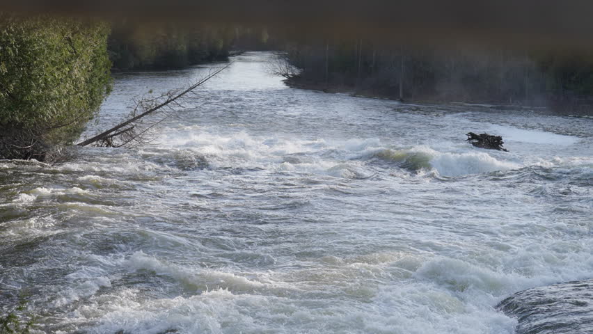 A wide perspective shows turbulent river rapids flowing through a dense forest landscape in Ontario. A large fallen tree rests along the rocky shore during spring high water.