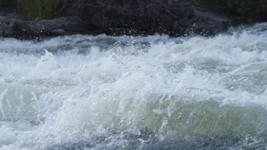 Churning white water surges downstream through a rocky channel bordered by forest trees.