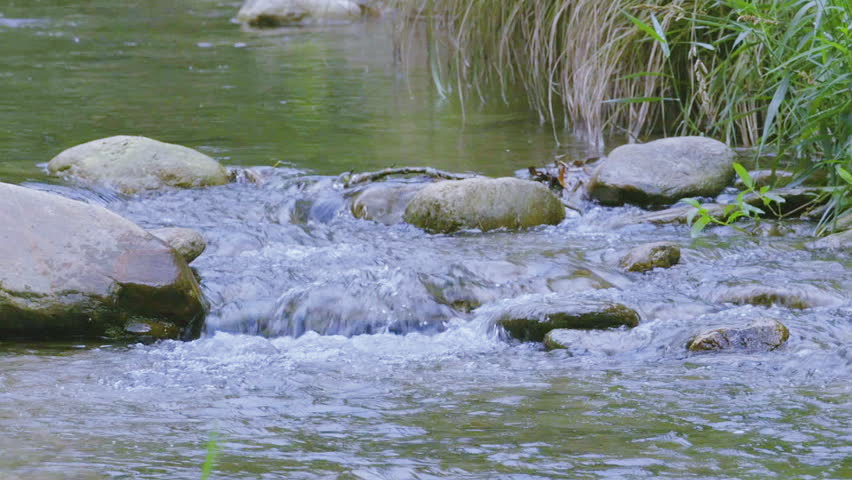 Close view of a small section of Elk Creek, in North Carolina. Shallow, but flowing freshwater stream during mid-summer afternoon. Clip E