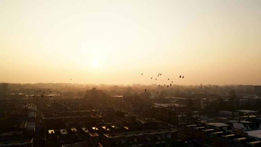 Aerial drone shot captures an urban skyline with birds flying under a hazy sunset sky and soft evening light.