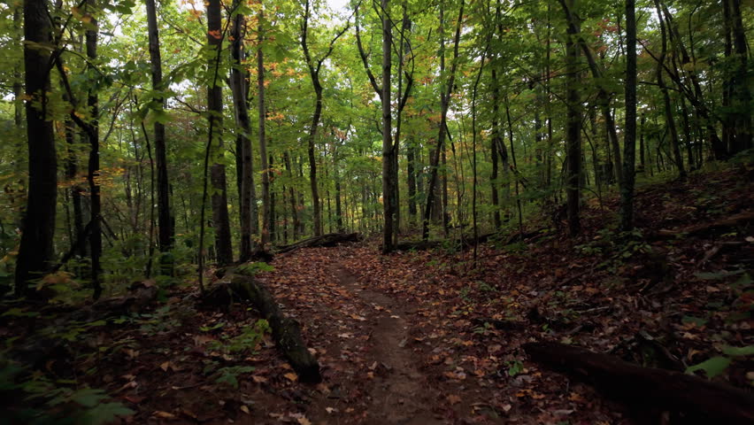A wooded trail through the forest in Shenandoah National Park, Virginia, USA, with mature trees and a natural hiking path visible - POV