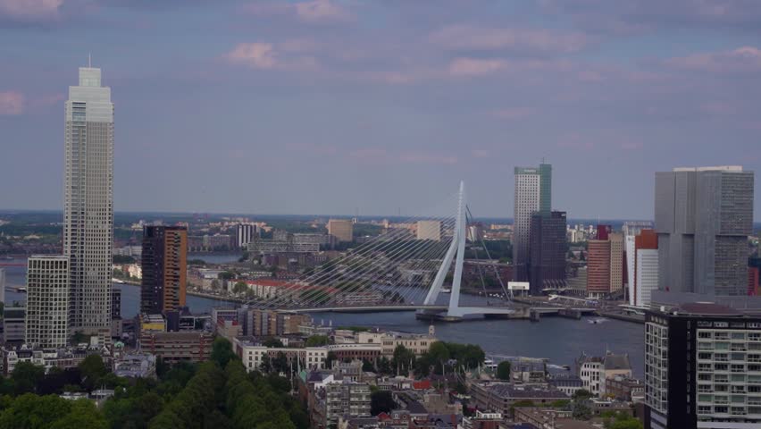 Rotterdam Skyline View Over Het Park with Erasmus Bridge and Towers

Wide aerial view of Rotterdam city skyline showing the lush green foliage of Het Park in the foreground, Zalmhaven tower, and Erasmus Bridge across the river.