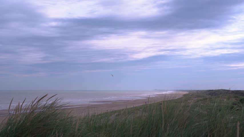Scheveningen Beach and Sand Dunes in The Hague Netherlands

Scenic landscape of the North Sea coastline, sandy beach, and grassy coastal dunes near The Hague (Den Haag), Netherlands, under a moody sky.