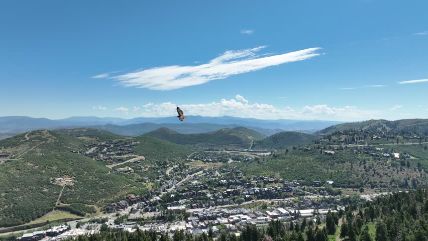 Red Tailed Hawk Circles Mountain for Prey