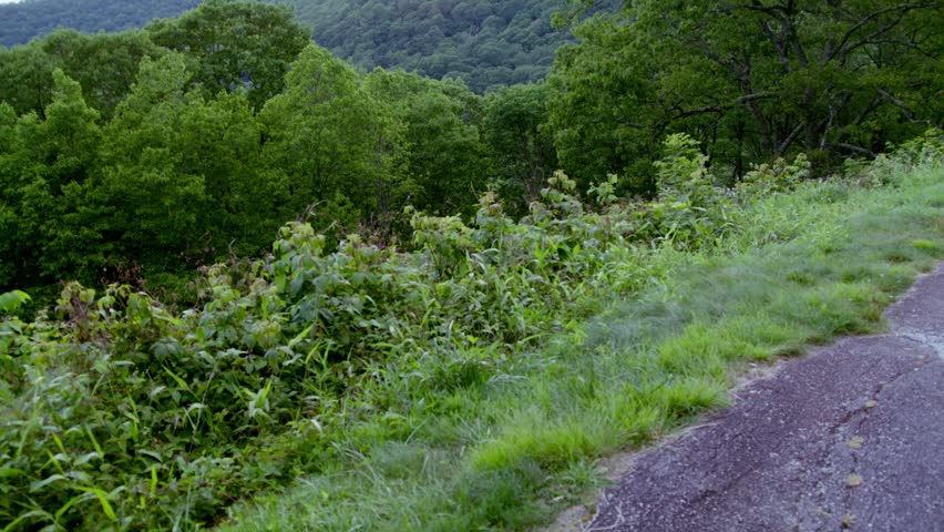 Mountains and clouds in the Great Smoky Mountains National Park with video tilting up.