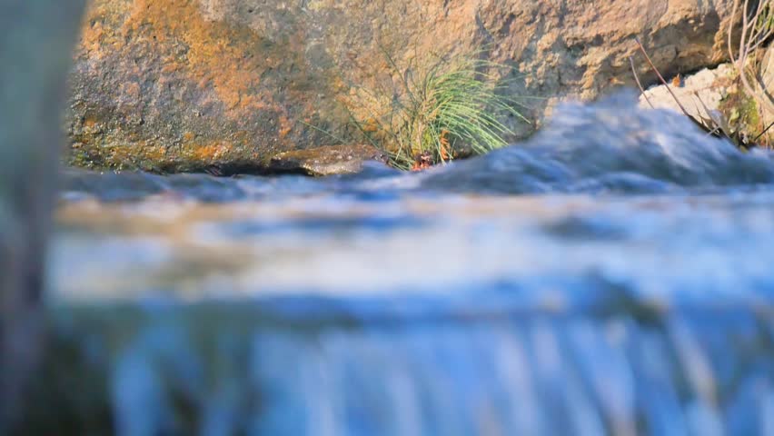 Rapid river water in a forest