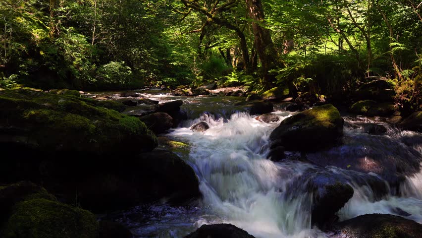 Stream rapids flowing over river rocks