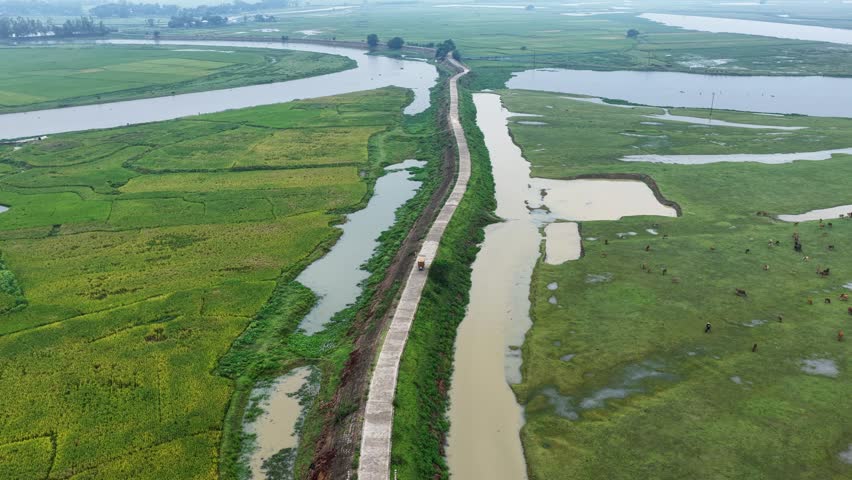 Scenic Wetland Landscape With winding road And Green Fields