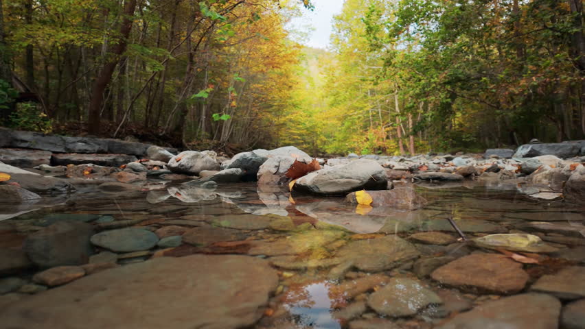 View Of Rocks Along A River With Forest Reflections In Shenandoah National Park, Virginia, USA. Close-up, Sideways Shot