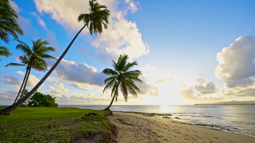 A tranquil evening tropical beach with swaying palm trees and gentle waves. The sea view is beautifully contrasted with a cloudy sky. Coconut palms against the sunset sky with clouds on the horizon.