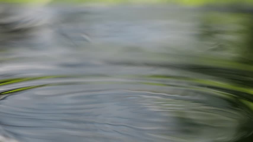 Water drops drip onto the water surface.