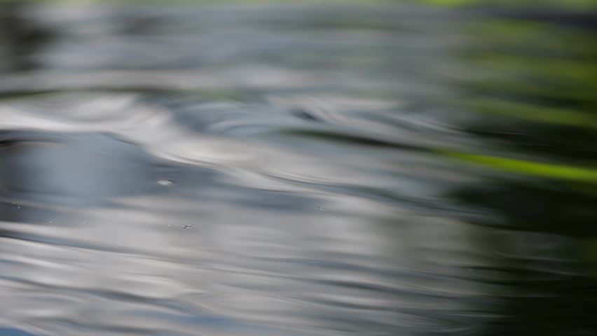 Water drops drip onto the water surface.