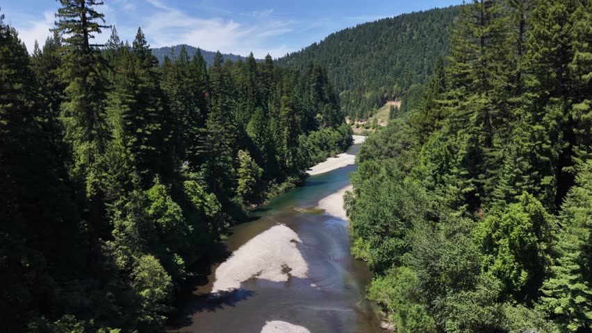 Scenic Winding River Flowing Through Dense Evergreen Forest Mountains