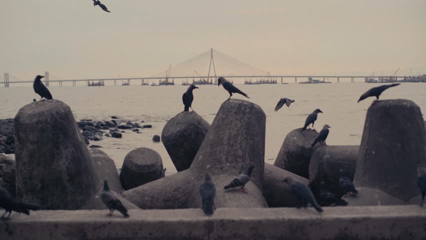 Bandra worli sealink view from shivaji park in mumbai
