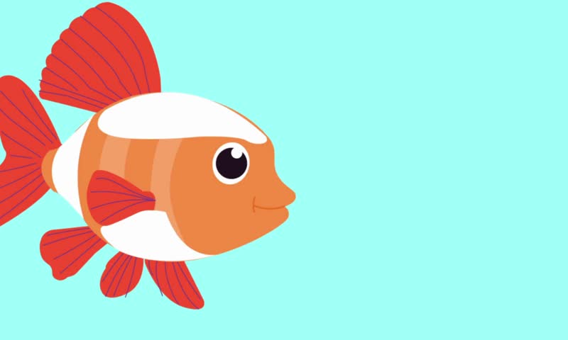 Cute orange clownfish animation isolated on blue background featuring tropical marine life underwater swimming character