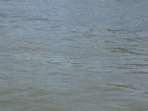 A close up of some water in the River Thames in London