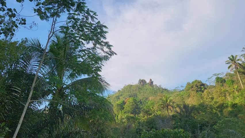 natural views of green and lush hills with bright blue skies.