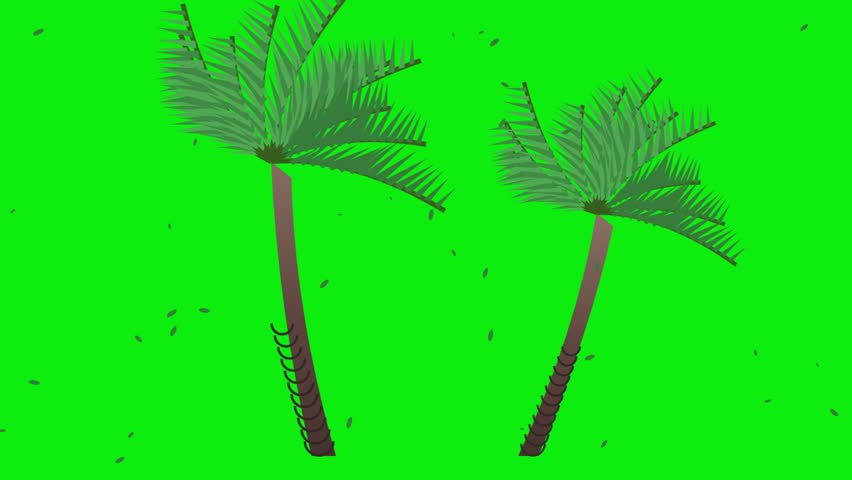 Two green palm trees swaying in the tropical wind with leaves falling down in a vibrant summer nature scene