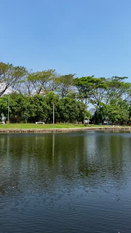 A tranquil lake featuring gentle water reflections of green trees under a clear blue sky