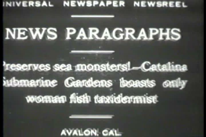 1920s - Black and white footage of stuffed sea creatures in the 1920s