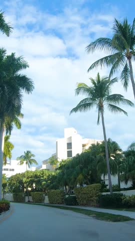 Vertical POV driving through downtown Miami featuring modern streets, palm trees, urban traffic and the vibrant atmosphere of one of Florida’s most iconic cities.