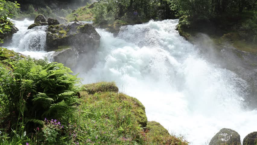 Powerful rushing waterfall with white foam surrounded by green nature and ferns in Norway