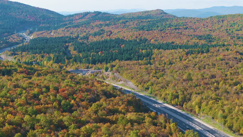 AERIAL: Modern highway curving between colourful forested hills in Croatia. Green, yellow, orange, and red foliage surrounds the roadway, bridges, and passing vehicles in a vivid autumn landscape.