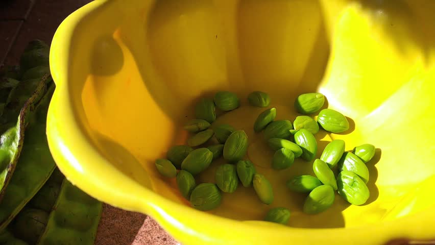 Close up of peeled green bitter beans petai in yellow bowl. Fresh petai seeds with pods beside. Traditional Asian cooking ingredient, home kitchen.