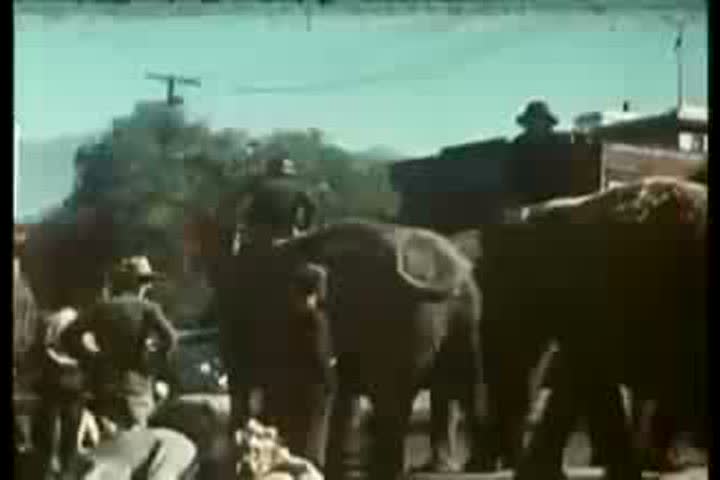 1960s - A 1960s film about circuses