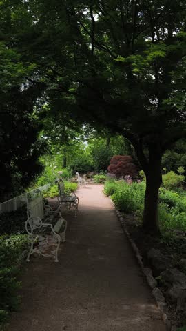 Beautiful walking path winding through a verdant park with white benches alongside. Sunlight filters through the lush trees and plants