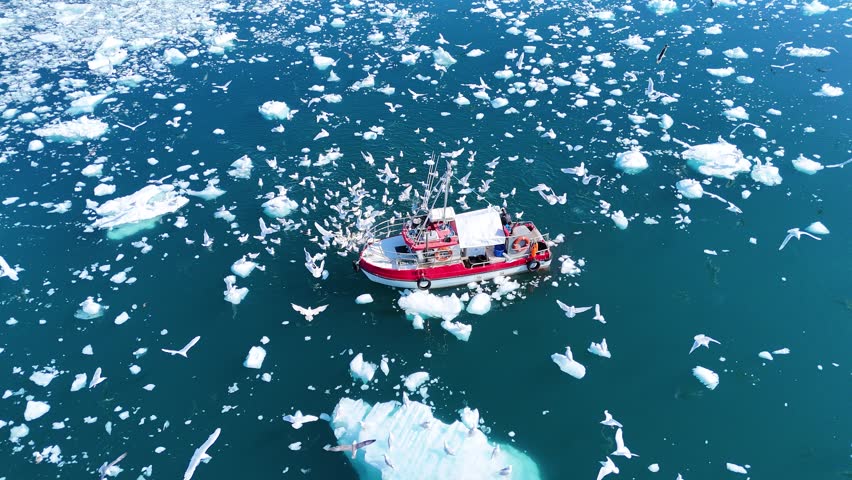 A fishing boat in the Arctic, on calm seas, surrounded by ice and ice floes. A large flock of gulls circles the boat. Fishing and climate change. Global warming. Ice floating on the surface.