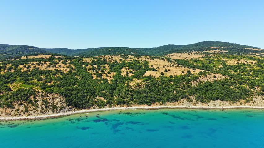 A shoreline where clear blue water meets a green hillside. The sun shines brightly, highlighting the natural landscape with trees and grass.