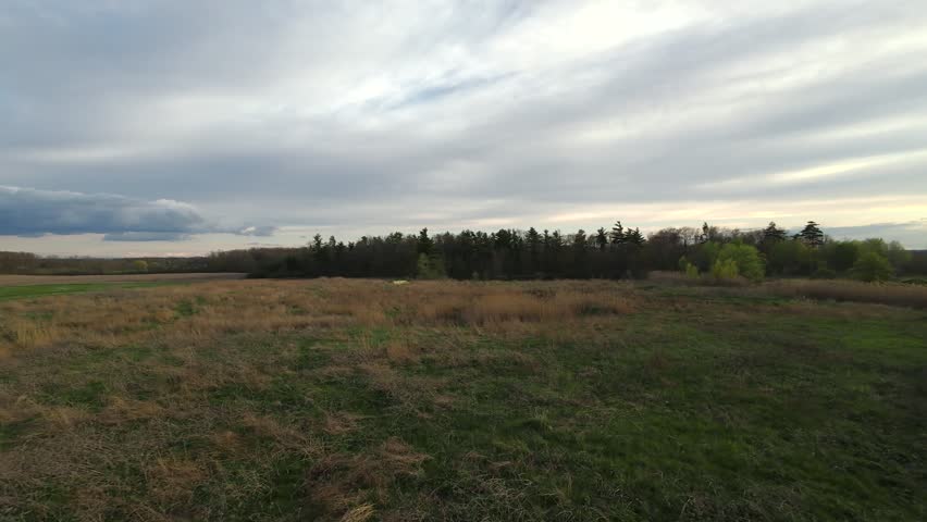 Aerial view flying forward over an overgrown meadow past wooden beehive boxes toward a calm country pond and dense green forest line under an overcast sky nearing sunset in Milton Ontario.