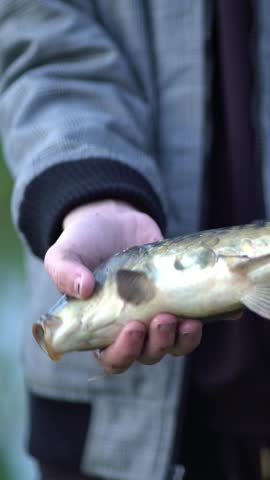 Close-up of a person holding a large common carp with detailed scales and muddy hands, showing a successful outdoor freshwater fishing catch.