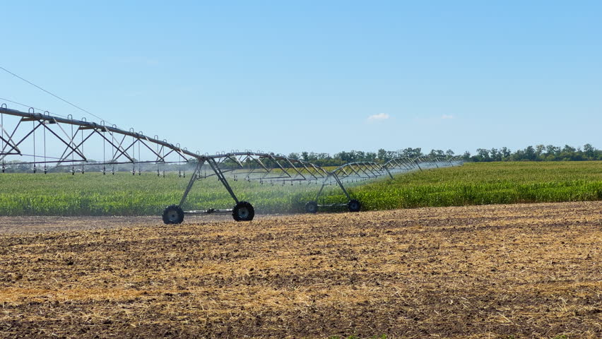 Center pivot irrigation system watering a corn field on a sunny day