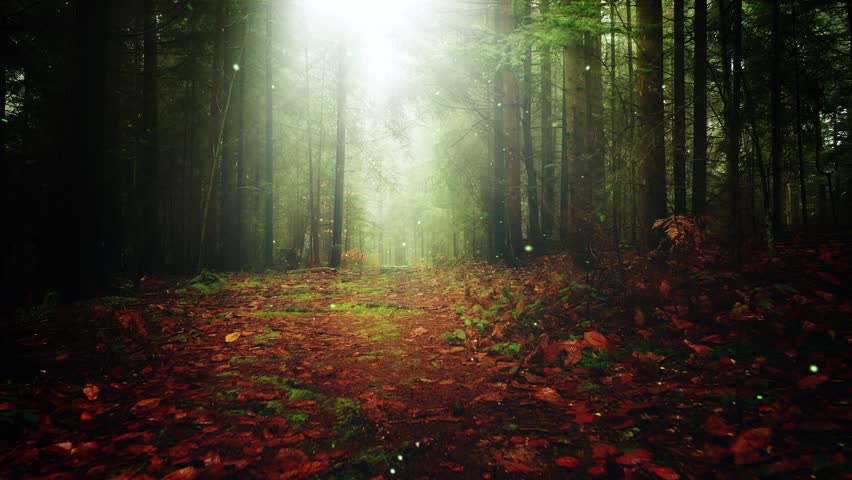 Magic dark fairy tale forest with flying fireflies. Drone shot.