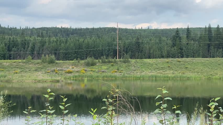 Natural Summer Lake Landscape With Distant Trees, Open Water and a Quiet Rural Atmosphere Near Grande Prairie