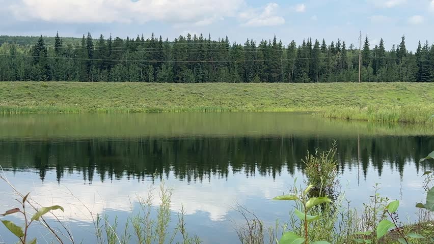Natural Summer Lake Landscape With Distant Trees, Open Water and a Quiet Rural Atmosphere Near Grande Prairie