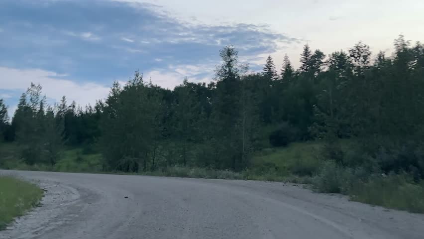 Scenic Driver’s Perspective on a Forest Road During Sunset With Warm Evening Light Illuminating the Woodland Landscape
