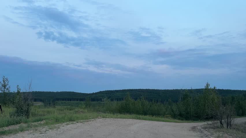 Scenic Driver’s Perspective on a Forest Road During Sunset With Warm Evening Light Illuminating the Woodland Landscape