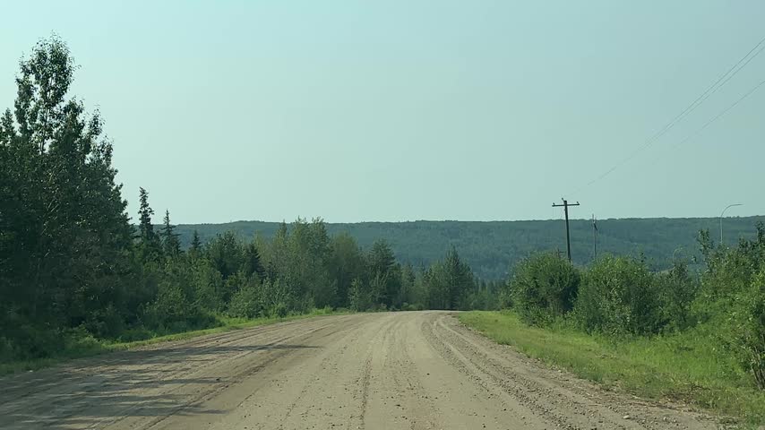 Exploring a Forest Backroad by Car With Green Trees and Beautiful Summer Weather