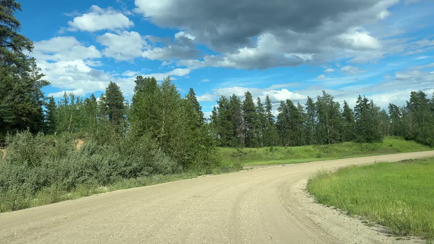 Natural Forest Scenery Passing by During a Daytime Drive on a Remote Woodland Road