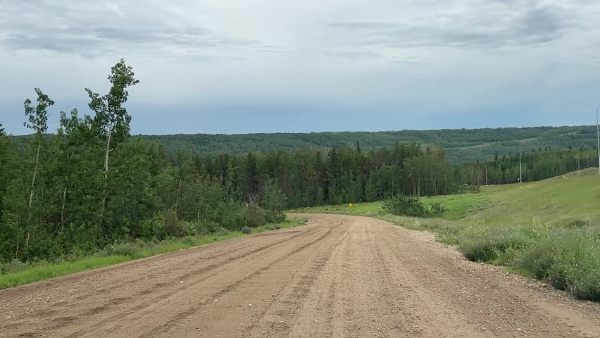 Natural Forest Scenery Passing by During a Daytime Drive on a Remote Woodland Road