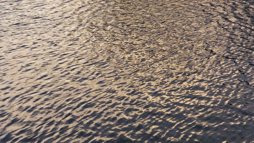 Golden Sunlight Reflecting on Rippling Water Surface